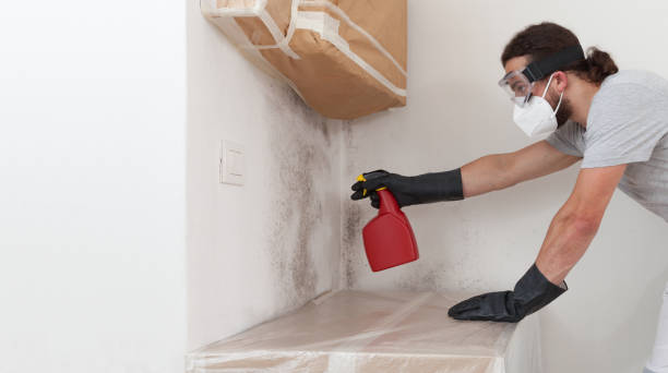 Professional Mold Cleanup technician working in Grantville, PA